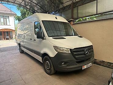 sea lion byd: Легкий грузовик, Mercedes-Benz, Стандарт, Новый — 1
