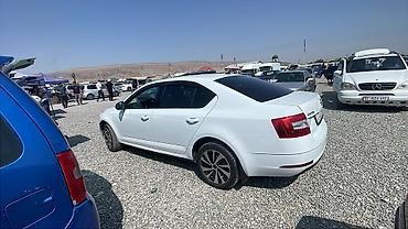 полироль авто: Skoda Octavia: 2019 г., 1.6 л, Автомат, Бензин, Седан — 2