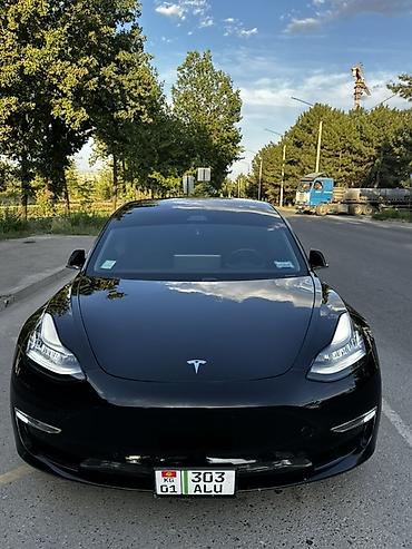byd e6: Tesla Model 3: 2019 г., Электромобиль, Лифтбек — 1