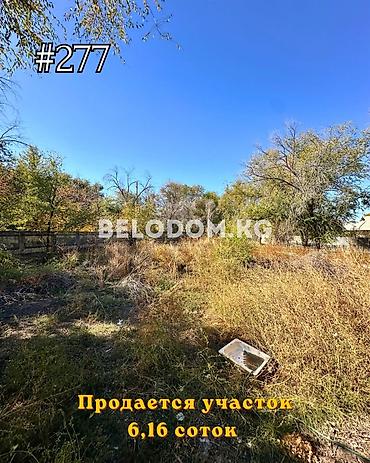 участок в ала тоо: 6 соток, Красная книга — 1