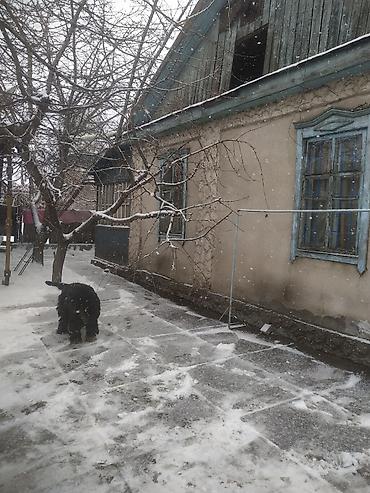 Продажа коттеджей и домов: Продается дом в центре города Бишкек.Район новой мечети Участок 3.42 — 6