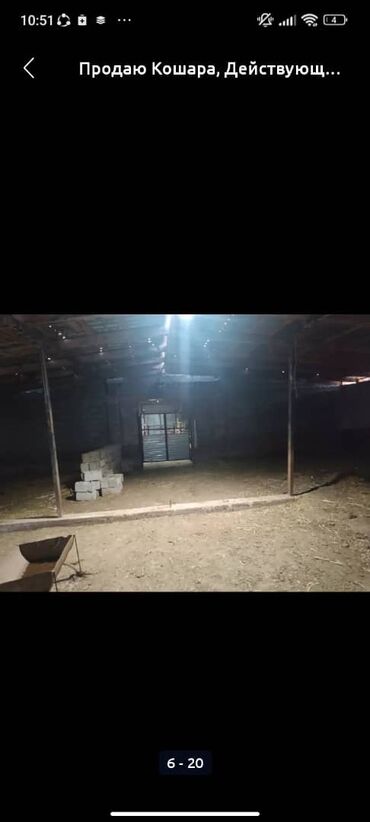 Сельхоз предприятия: Продаю Кошара, 50 соток, Действующий, Частично с оборудованием, Электричество, Канализация, Отопление at lalafo.kg — 10 Сельхоз предприятия: Продаю Кошара, 50 соток, Действующий, Частично с оборудованием, Электричество, Канализация, Отопление — 10