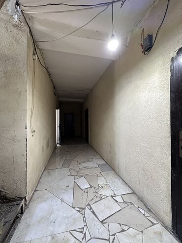 Продажа участков: 27 соток, Красная книга — 13