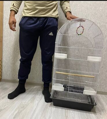 Qəfəslər: Yeni ve böyük qefesler var satişda yeni qəfəslərdi hər növdə var — 2