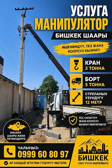 Жаанын 12 м, 3 т., Борттун 5 кг