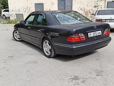 ешка 301: Mercedes-Benz E-Class: 2003 г., 2.4 л, Автомат, Бензин, Седан — 4