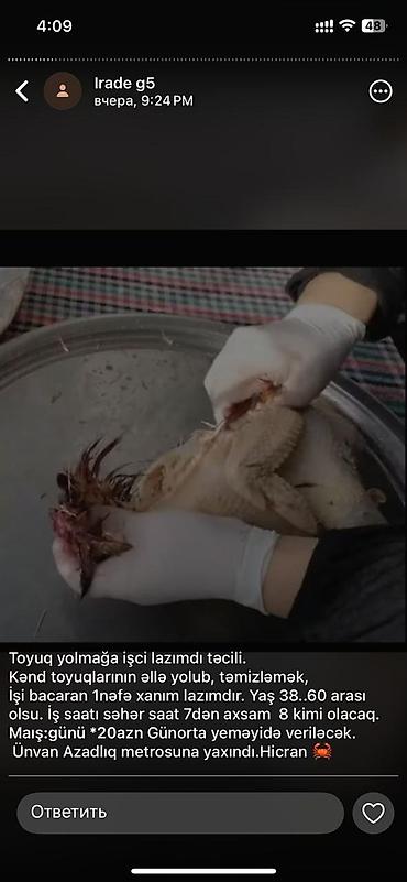 muhafize is: Toyuq yolmağa işci lazımdı təcili. Kənd toyuqlarının əllə yolub — 1