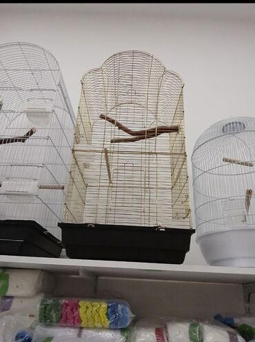 Qəfəslər: Her qiymete her olcude yeni qefeslermiz var satisda bayram edirimleri -da lalafo.az — 6 Qəfəslər: Her qiymete her olcude yeni qefeslermiz var satisda bayram edirimleri — 6