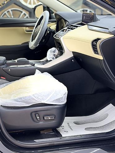 Lexus: Lexus NX: 2020 г., 2 л, Автомат, Бензин, Кроссовер — 10