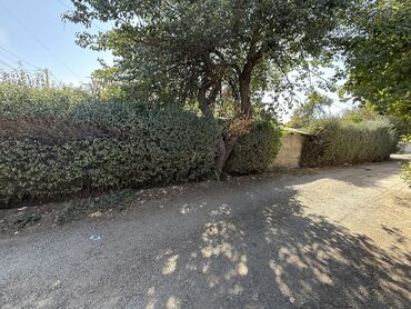 Продажа домов: Дом, 70 м², 4 комнаты, Риэлтор, ПСО (под самоотделку) at lalafo.kg — 4 Продажа домов: Дом, 70 м², 4 комнаты, Риэлтор, ПСО (под самоотделку) — 4