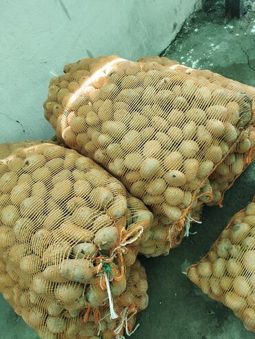 1 кг картошки цена бишкек: Картошка