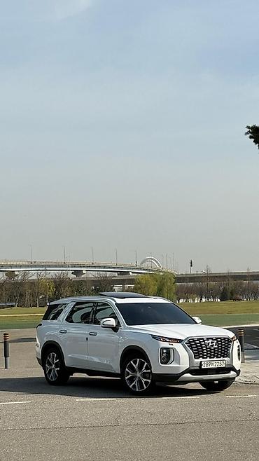 palisade 2019: Hyundai Palisade: 2019 г., Автомат, Дизель, Кроссовер — 1