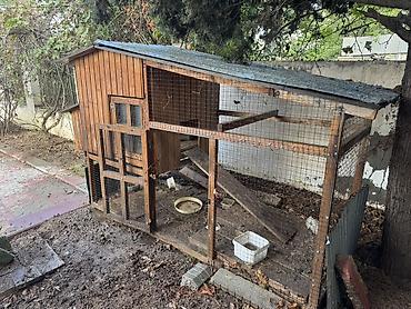 it satisi 2020: Göyerçin Damı Quş Damı Toyuqda Cücede Saxlamaq Olar - Material: möhkəm — 4