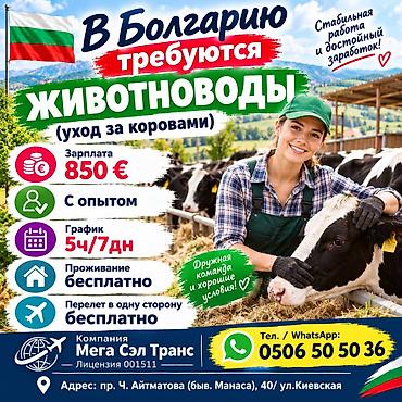 Айыл чарба: Жумуш - Болгария, Айыл чарба, Тажрыйбасы бир жылдан аз — 1