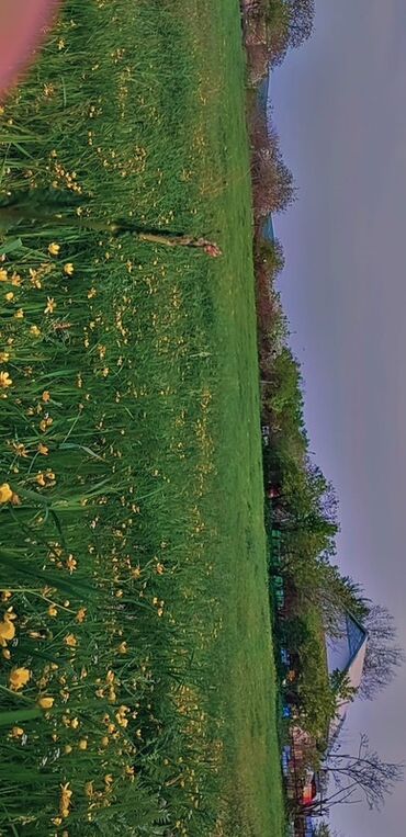 Torpaq sahələrinin satışı: 10 sot, Tikinti, Mülkiyyətçi, Bələdiyyə — 11