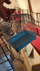 дом для кот: Клетка для хомяка
