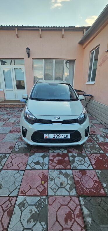 кия морнинг 2019: Kia Morning: 2019 г., 1 л, Автомат, Бензин, Хетчбек