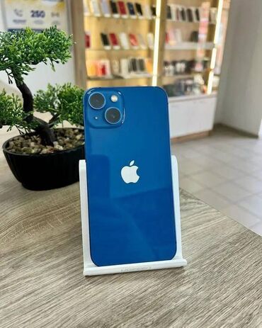 Riyaziyyat: IPhone 13, Göy, Face ID