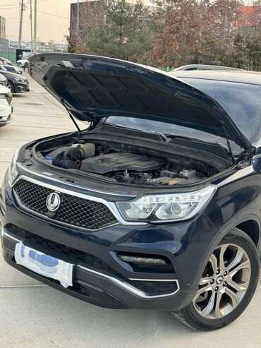 Ssangyong: Ssangyong Rexton: 2019 г., 2.2 л, Автомат, Дизель, Внедорожник