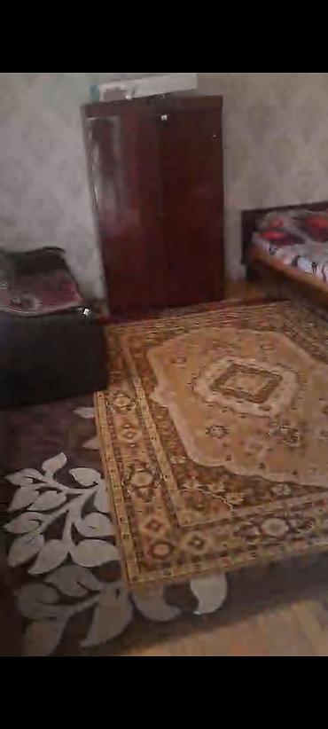 Həyət evləri və villalar: 40 kv. m, 1 otaqlı, Telefon, Qaz, İnternet — 8