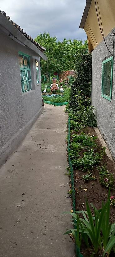 Продажа коттеджей и домов: Продаётся дом с благоустроенным двором и уютным интерьером. - Участок — 9