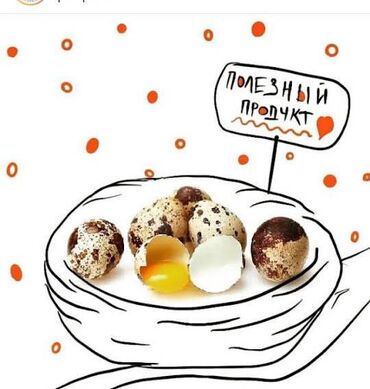 или меняю с доплатой мне: Покупаем перепелиные яйца на постоянной основе, много, рассчет