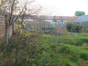 Torpaq sahələrinin satışı: 28 sot, Biznes üçün — 8