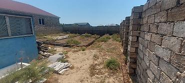 sixovda torpaq sahesi: 2 sot, Kənd təsərrüfatı, Barter mümkündür, Kupça (Çıxarış) — 7