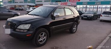 лексус зоо: Lexus RX: 2002 г., 3 л, Автомат, Бензин, Кроссовер