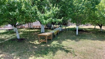 Bağ evlərinin kirayəsi: 200 kv. m, 5 otaqlı, Hovuzlu, Telefon, İnternet, İşıq -da lalafo.az — 13 Bağ evlərinin kirayəsi: 200 kv. m, 5 otaqlı, Hovuzlu, Telefon, İnternet, İşıq — 13