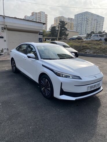 Voyah: Voyah 1.5 l — 13