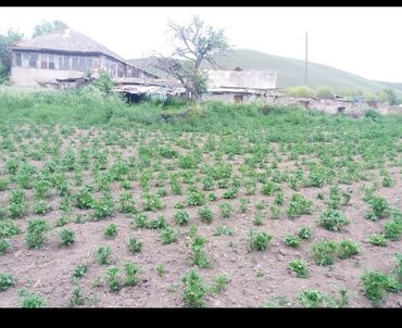 Bağ evlərinin satışı: Şəmkir, 100 kv. m, 3 otaqlı, Qaz, İşıq, Su -da lalafo.az — 6 Bağ evlərinin satışı: Şəmkir, 100 kv. m, 3 otaqlı, Qaz, İşıq, Su — 6