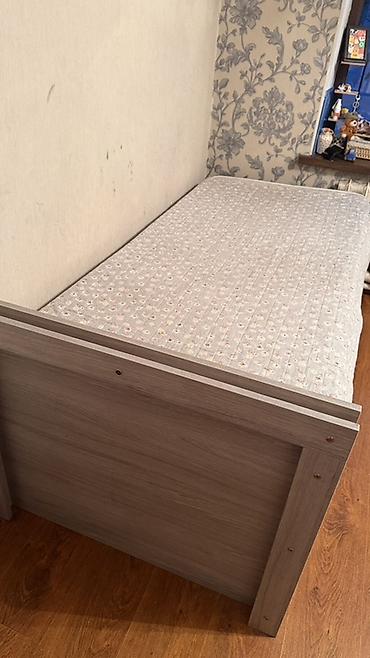 кофейное дерево купить: 🛏️ Продаю кровать вместе с матрасом! Причина продажи переезд — 2