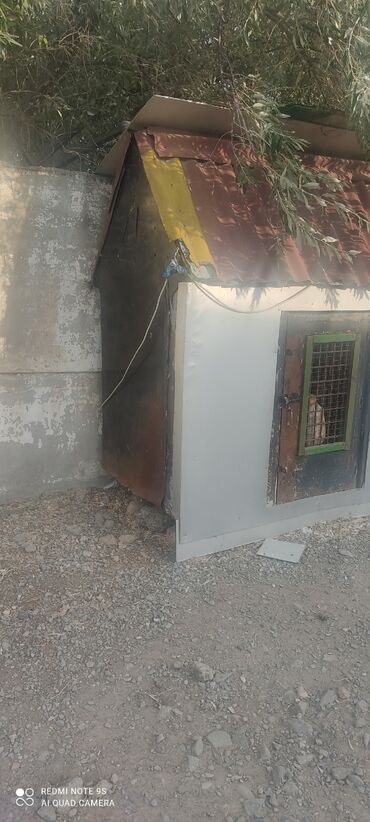 Yuvalar: Quşxana Satlır — 3