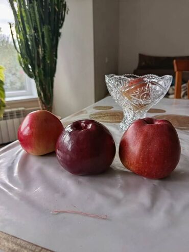 яблоко сочные: Алмалар Превосход