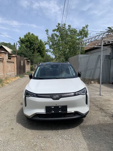 Weltmeister: Weltmeister W6, 2022 г., 40000 км, Передний, На заказ — 2