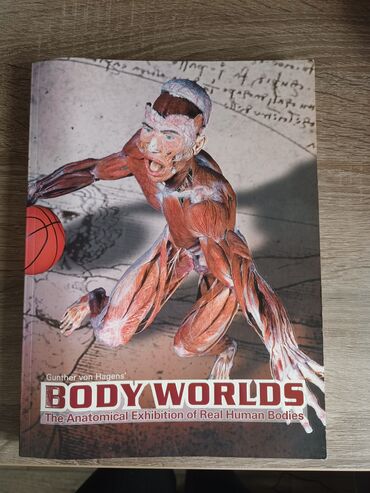книга анатомия человека: Продаю книгу по анатомии 
Мир человеческих тел 
Гюнтер фон Хагенс