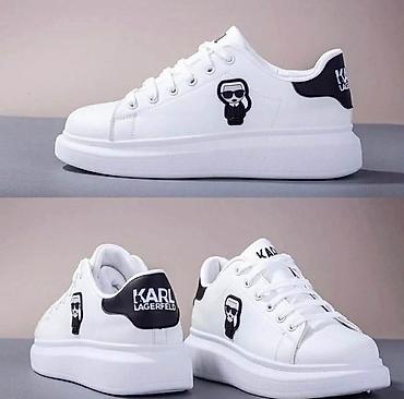 Patike: Karl patike 
36 do 46 — 2