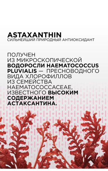 Витамины и БАДы: Для детоксикации, Для ЖКТ, Для зрения, Для взрослых, Для женщин, Для мужчин, Капсулы, Новый — 4