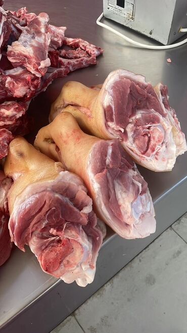 Мясо: Свинина : Ребра, Более 10 кг at lalafo.kg — 4 Мясо: Свинина : Ребра, Более 10 кг — 4