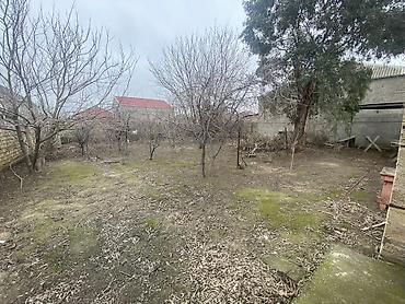 Torpaq sahələrinin satışı: Tikinti — 4