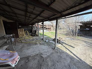 Продажа коттеджей и домов: Продается дом с большим дворовым участком 16.5 соток (фактически 20)и — 8