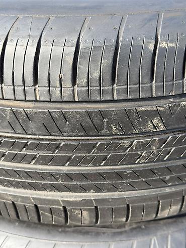 skoda fabia: Nexen yay-yol şinləri – 2 ədəd - Ölçü: 225/55 R17 - Yük/sürət indeksi — 2