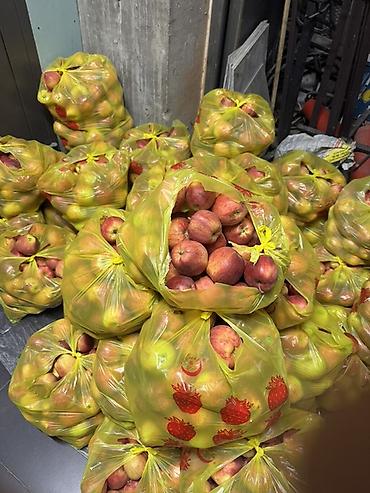 мөмө жемиш: Алмалар Превосход, Дүң — 2
