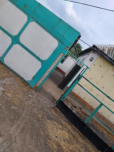 дача горняк: Продаю или меняю Дом с двором и хозяйственными постройками 4 комнаты — 1
