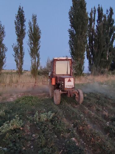 куплю плуг бу: Т 25 шаймандары менен опрыскиватель култиватор,лезвия,тырмоо,картошка