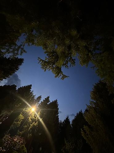 Иссык-Куль 2026: Квартира, Диона ЦО Радуга West, Кош-Кол, Парковка, стоянка, Тренажерный зал, SPA — 10