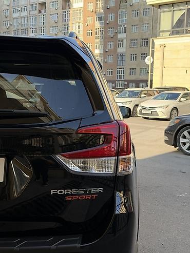 outback 2019: Subaru Forester: 2019 г., 2.5 л, Автомат, Бензин, Кроссовер — 5