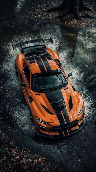 Картины: Ультра-HD постеры на металле | Бишкек Искусство в максимальном — 22