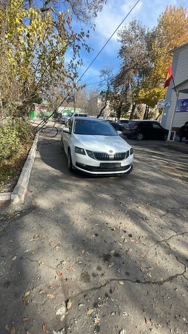 Skoda: Skoda Octavia: 2019 г., 1.6 л, Автомат, Бензин, Седан — 9